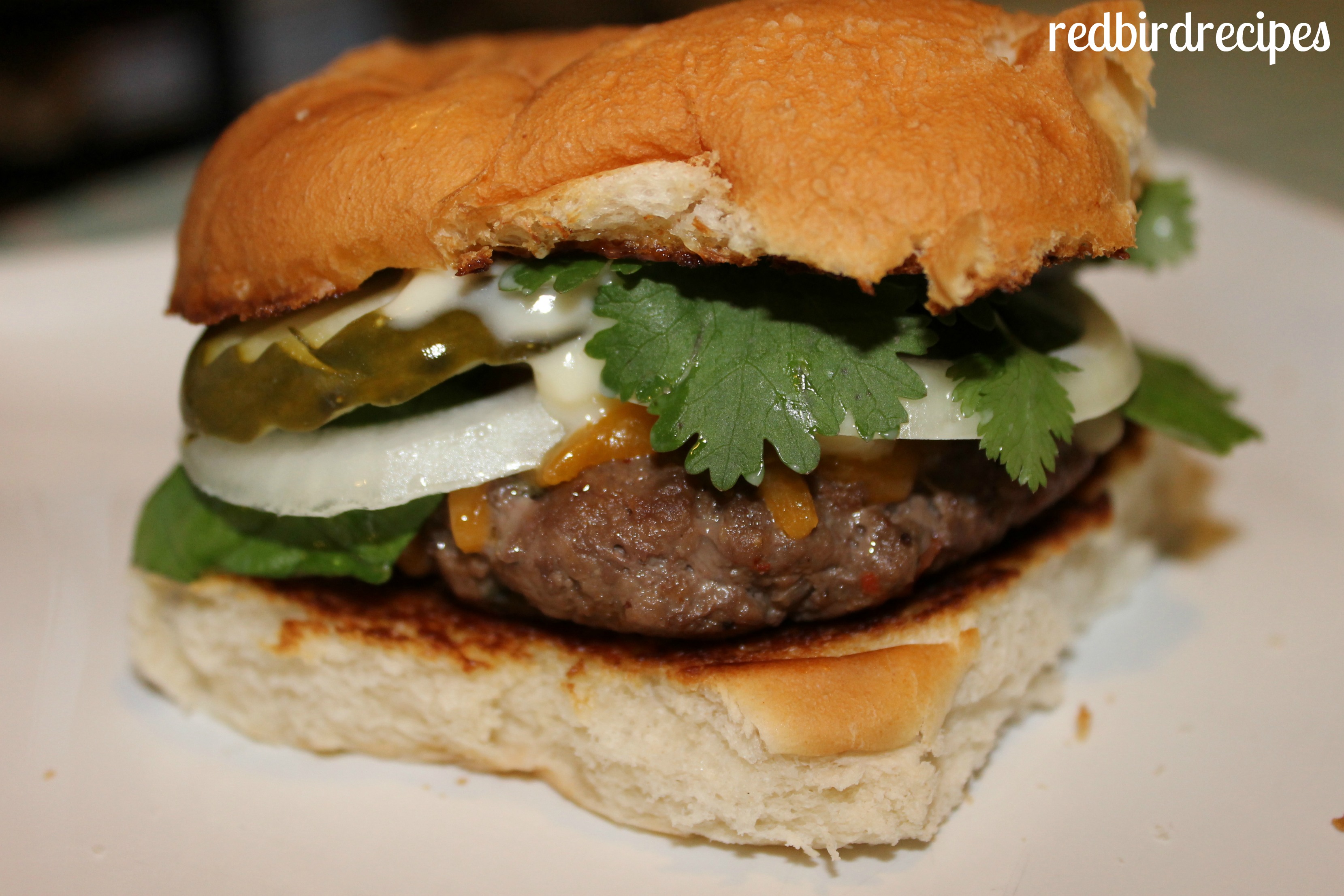 Spicy Southwest Ranch Burgers  Redbird Recipes